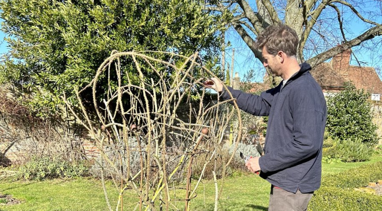A friendly gardener’s guide to thriving spaces in Sussex