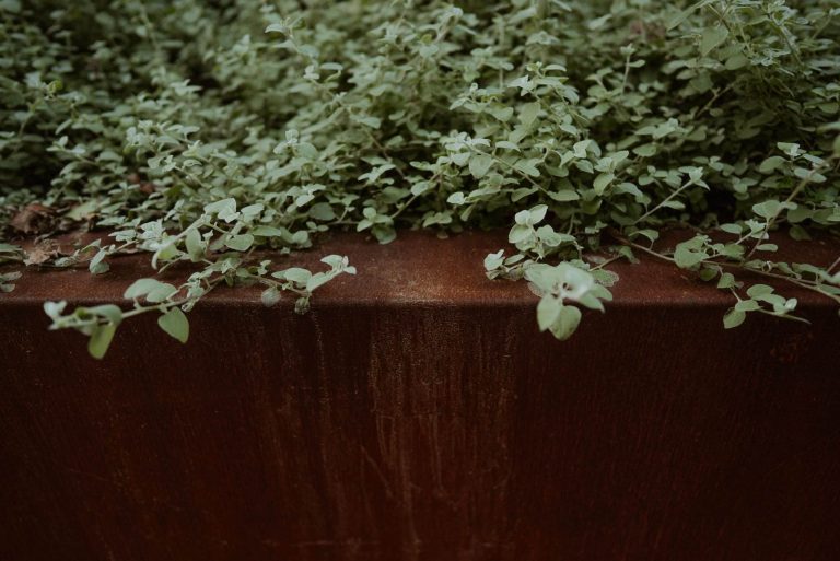 Rugged Elegance: Corten Steel Rings and Planters for Modern Spaces