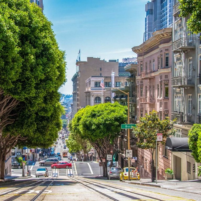 Find the best real estate agent in California and thrive