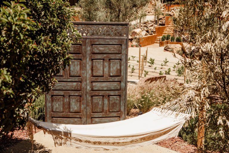 Taste the Valley: A Wine Lover’s Guide to Baja’s Coastal Escapade