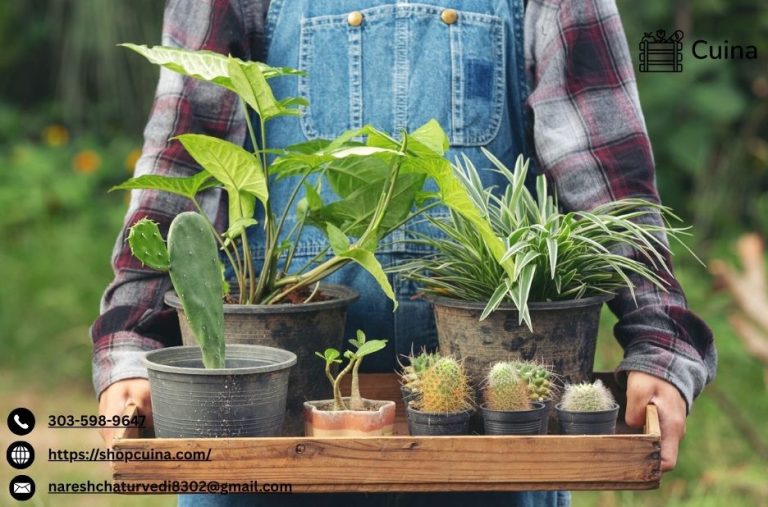 Launch Your Home-Baked Venture: A Trusted Market for Small Cooks Launch Your Home-Baked Venture: A Trusted Market for Small Cooks