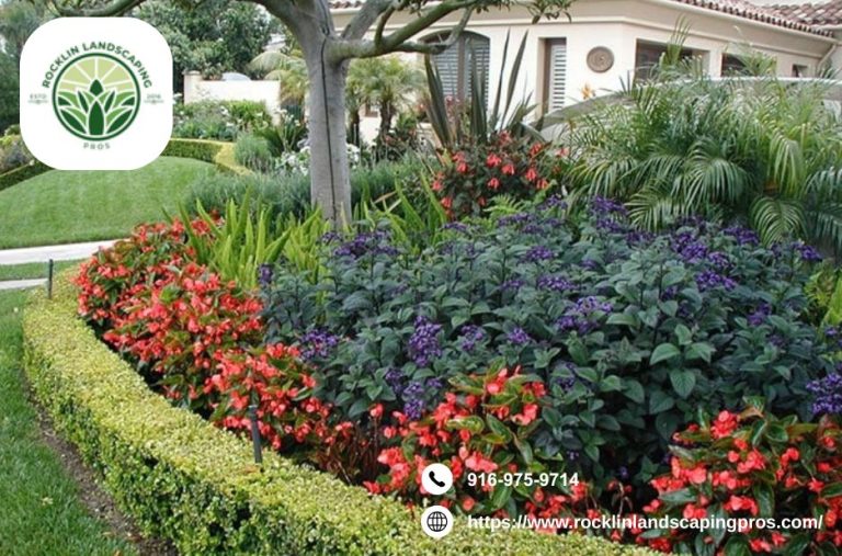 Practical Guide to Landscape Design in Rocklin