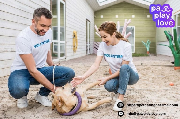 Plan perfect doggy meetups with a trusted network Plan perfect doggy meetups with a trusted network