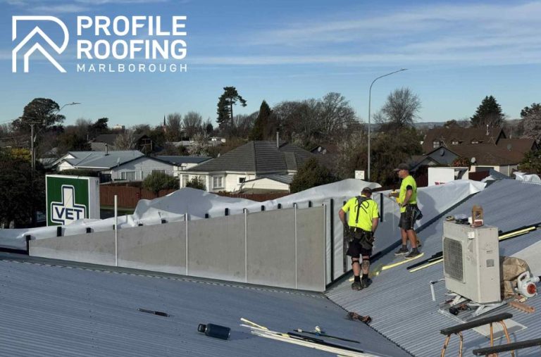Protect Your Home: Expert Roof Care in Marlborough