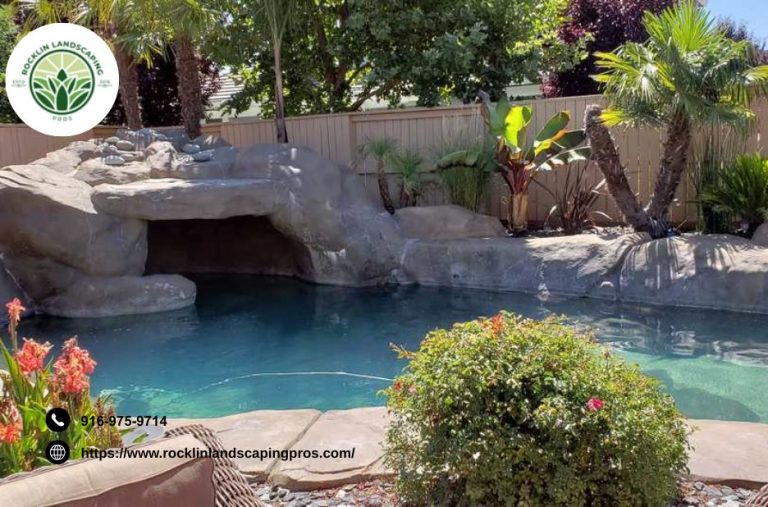 Transform Your Outdoor Space: Local Garden Care and Sustainable Solutions