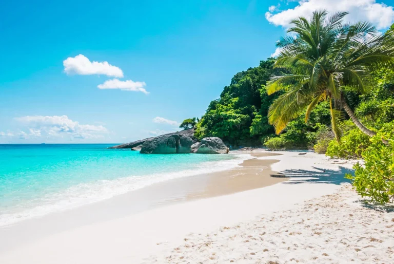 Smart Ways to Save on Car Hire in Hawaii