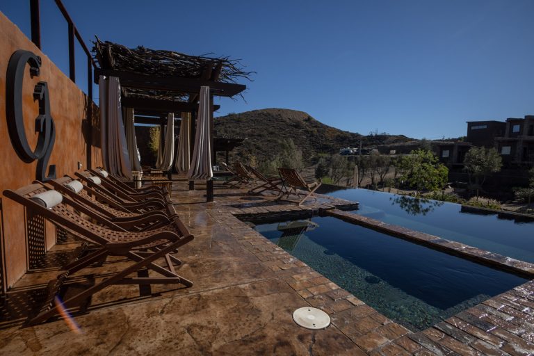 Vineyard Trails and Gourmet Journeys in Baja California