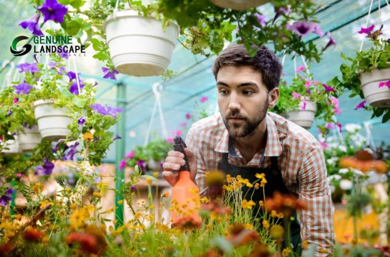 Creating a flourishing garden: smart care tips for Sydney homes Creating a flourishing garden: smart care tips for Sydney homes