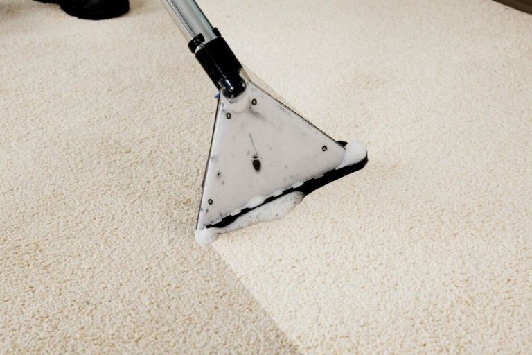 Rediscover Freshness: Carpet Cleaning Tips for a Brighter Home Rediscover Freshness: Carpet Cleaning Tips for a Brighter Home