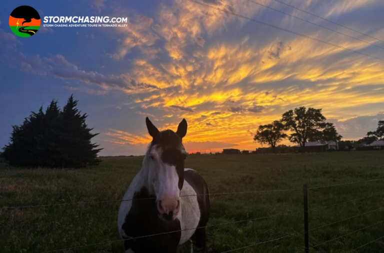 Chasing Severe Weather: Guided Storm Chasing Adventures