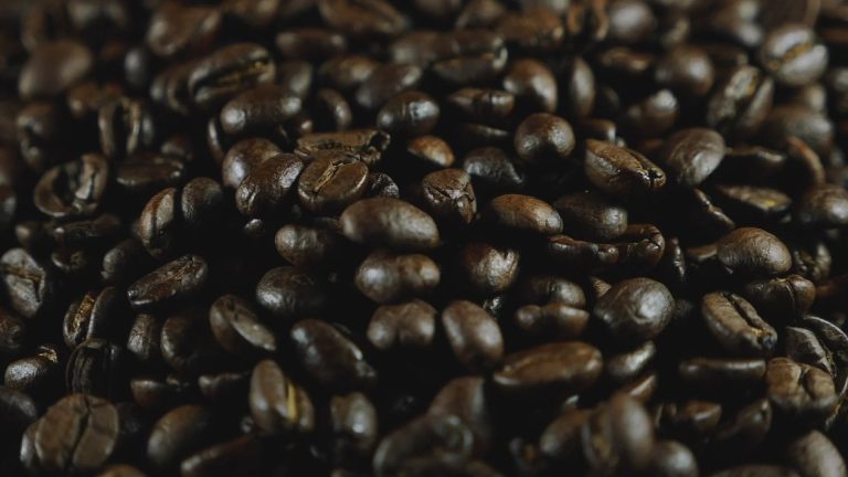 Crafting a Unique Café Experience for Coffee Enthusiasts Crafting a Unique Café Experience for Coffee Enthusiasts