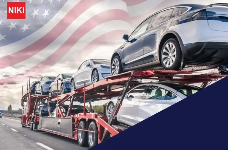 Efficient Vehicle Moves with a Home Delivery Option