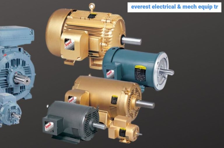 Exploring High-Performance Motors: Precision, Torque and Reliability