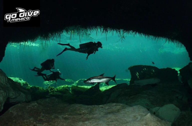 Discovering the Hidden Depths: A Guide to Cenote Exploration