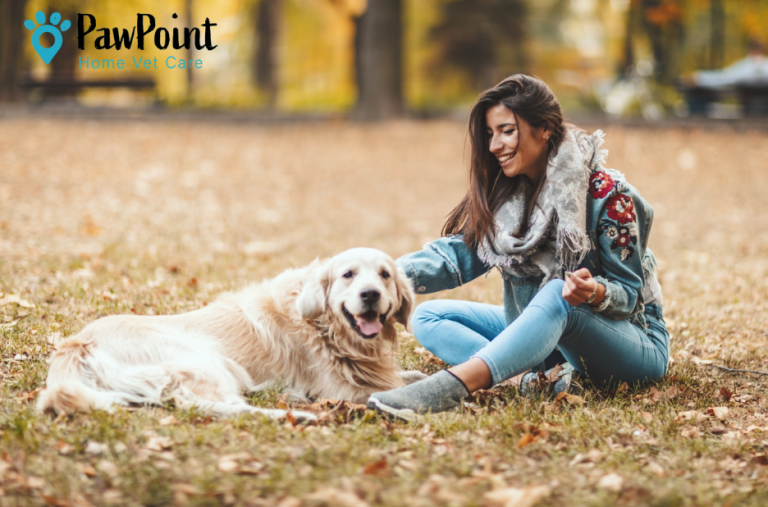 Finding compassionate end-of-life support for your pet nearby Finding compassionate end-of-life support for your pet nearby