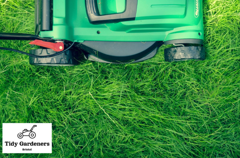 Efficient garden improvements for Bristol homes