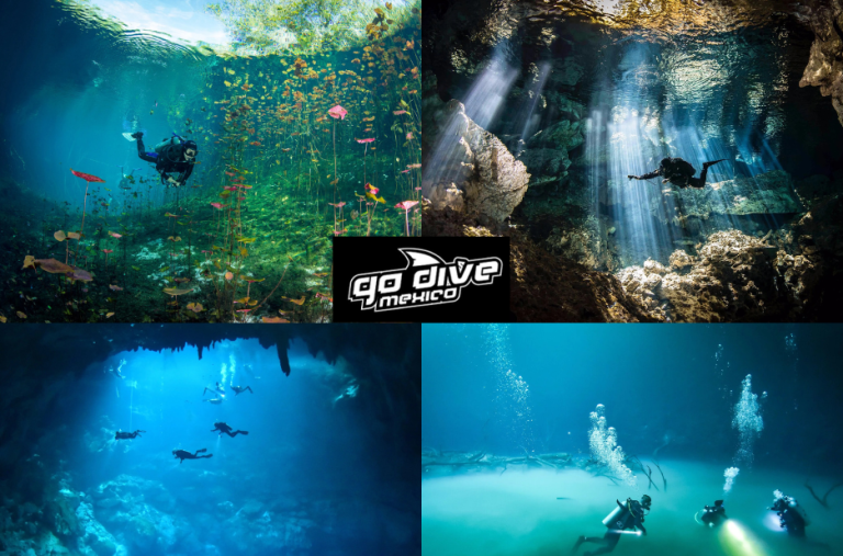 Guided Adventures Under Mexico’s Quiet Waterways