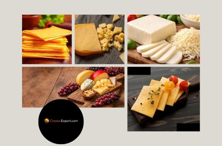 Top Bulk Mozzarella Cheese Supplier for Quality Dairy Products and Reliable Global Delivery