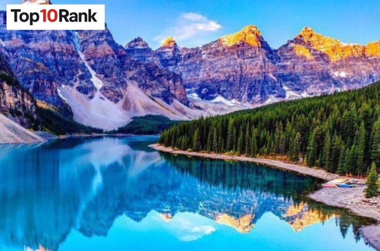 Discover The Best Telegram Channels For 2024 And Beyond