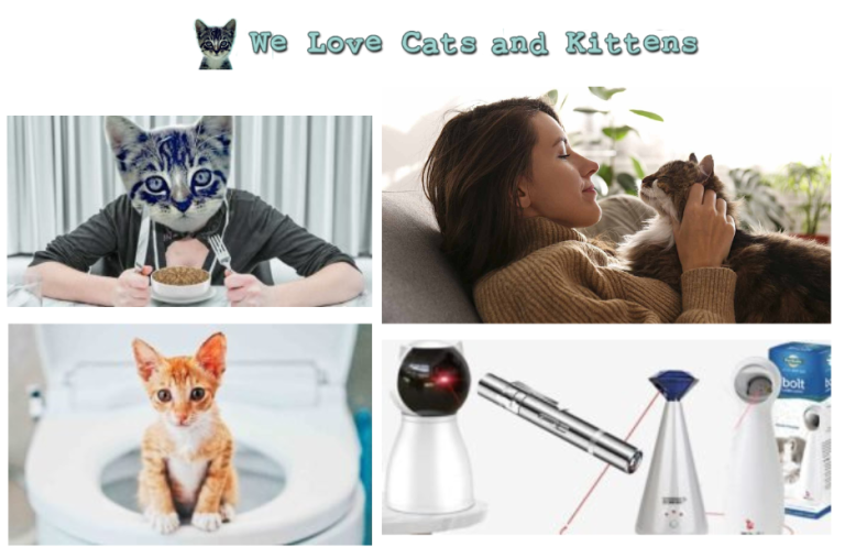 Whiskers and Wonders: Real Tales of Cats That Inspire