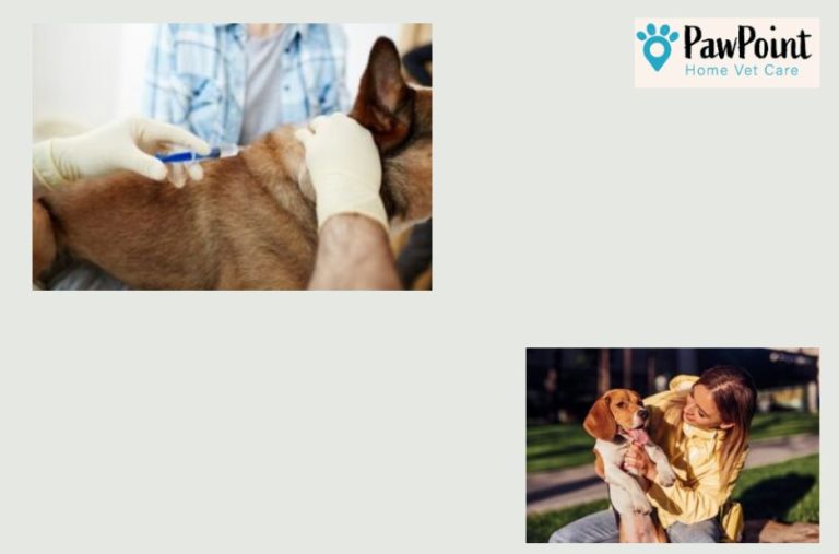 Compassionate options for end of life care