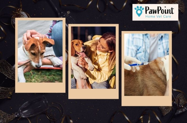 Compassionate end of life care for pets