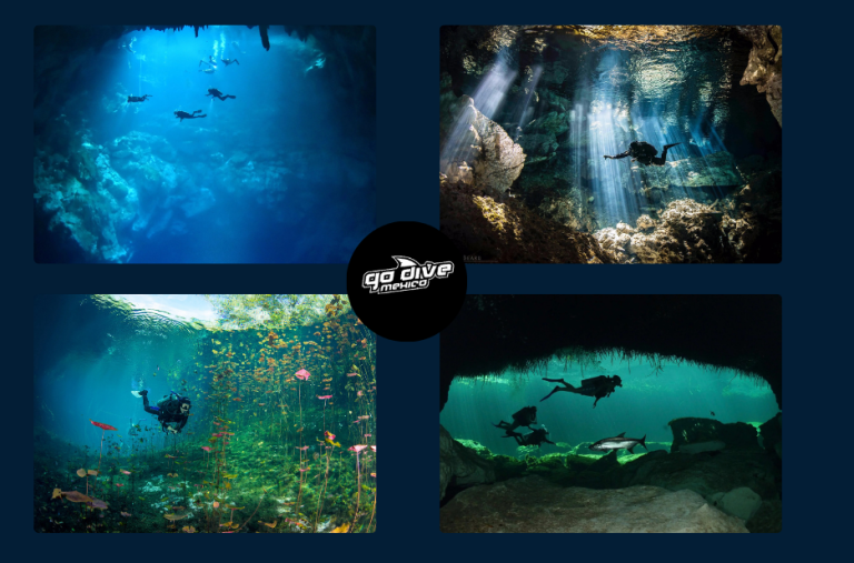 Dive into Hidden Depths: A Practical Guide to Cenote Exploration Dive into Hidden Depths: A Practical Guide to Cenote Exploration