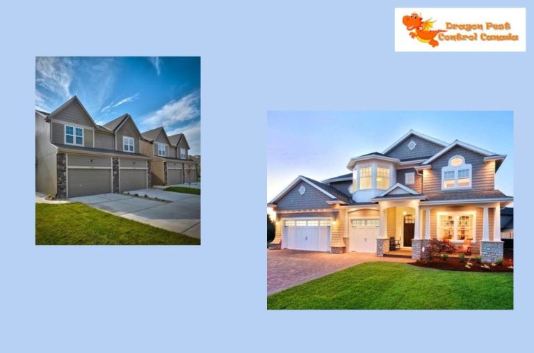 Effective Mosquito and Flea Control in Edmonton Effective Mosquito and Flea Control in Edmonton