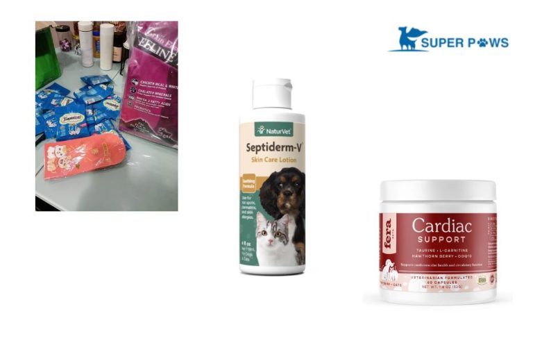 Holistic Wellness for Dogs: A Balanced Approach to Natural Care