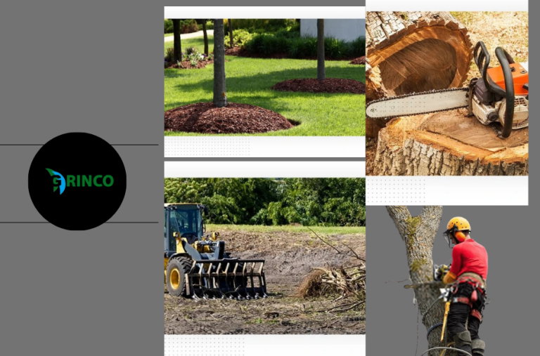 Expert Tree Removal Point Cook Services for Safe and Efficient Property Maintenance Expert Tree Removal Point Cook Services for Safe and Efficient Property Maintenance