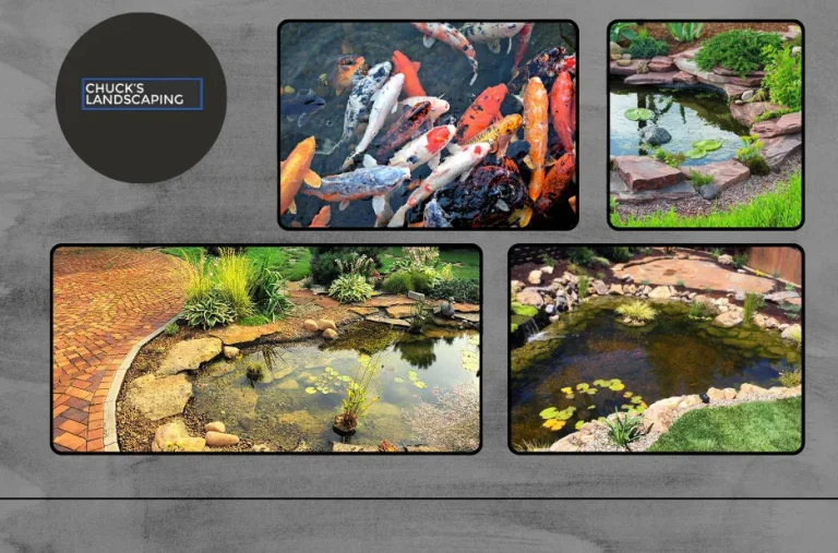 Expert Lawn Sprinkler Repair in Canoga Park for Efficient Irrigation and Healthy Lawns