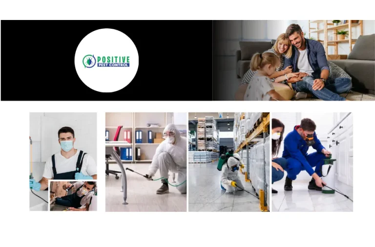 Effective Calgary Pest Control Solutions for Homes and Businesses