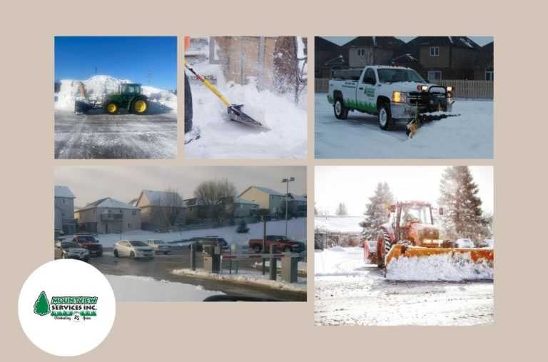 Expert Landscape Installation in Kitchener | Professional Landscaping Services Expert Landscape Installation in Kitchener | Professional Landscaping Services