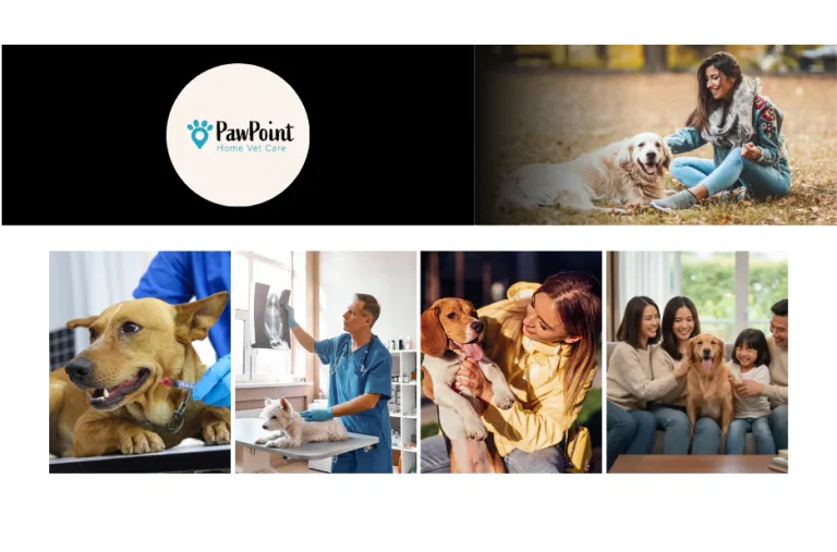 Compassionate Mobile Pet Euthanasia Services for Stress-Free Pet Care at Home