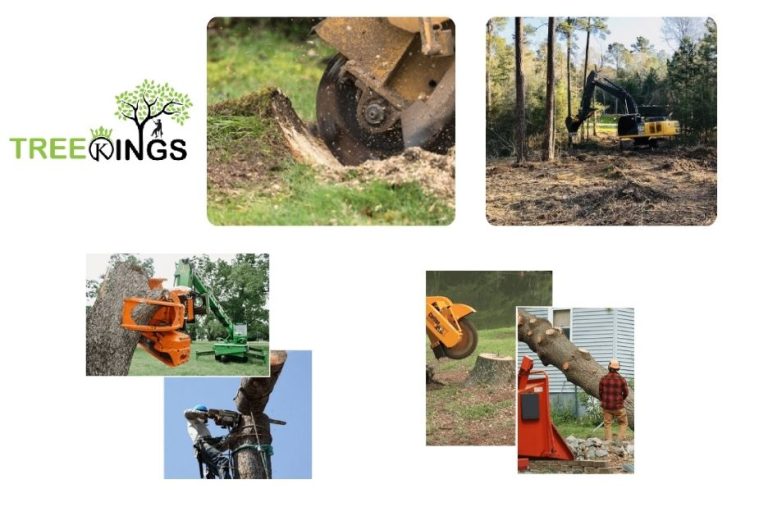 Expert Arborist Strathmore Services for Safe Tree Care and Maintenance Expert Arborist Strathmore Services for Safe Tree Care and Maintenance