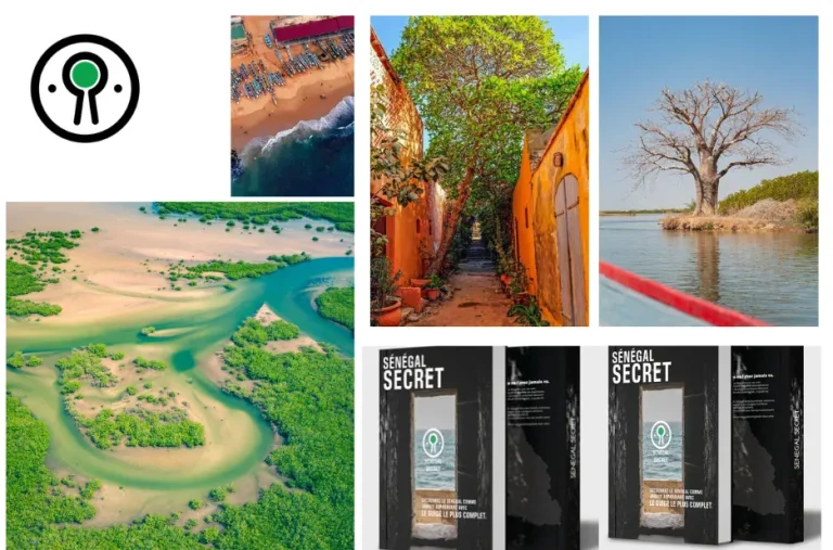 Que faire au Sénégal : guide complet des activités incontournables et expériences authentiques