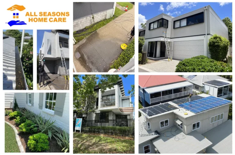 Top Window Cleaning Service Near Me for Sparkling, Streak-Free Glass Shine