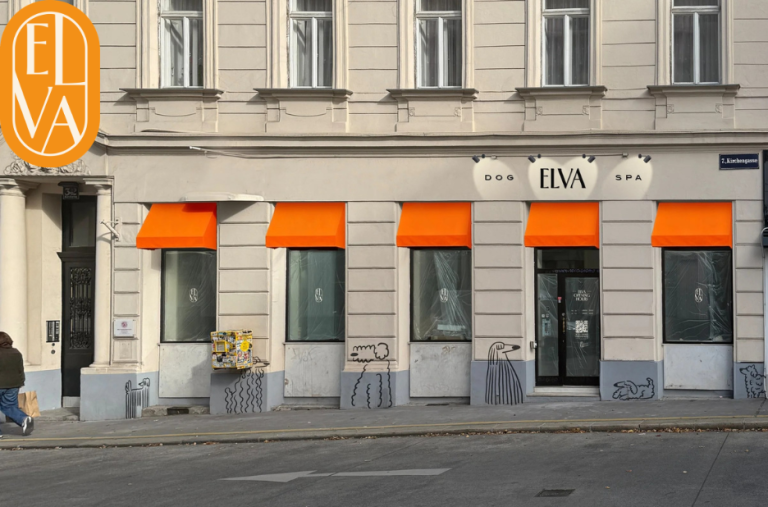 Hunde schneiden Wien – Professionelles Hundefrisuren Styling und Pflege in Wien