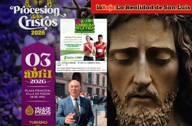 Código San Luis: Noticias y Análisis Actualizados en Laroja.com.mx