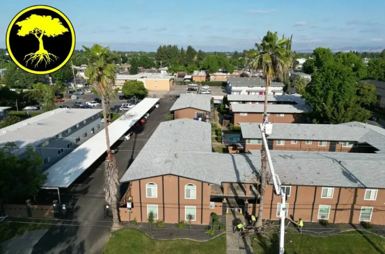 Efficient and Eco-Friendly Green Waste Hauling Services for a Cleaner Environment