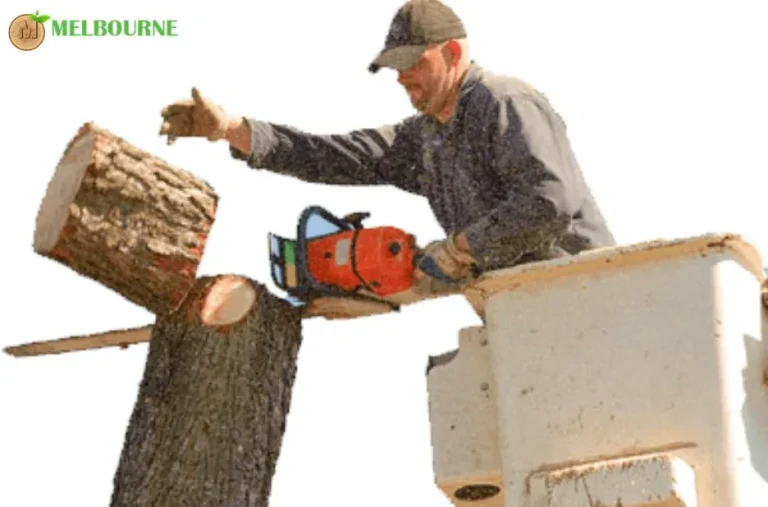 Professional Tree Mulching Services Melbourne for Sustainable Garden Care