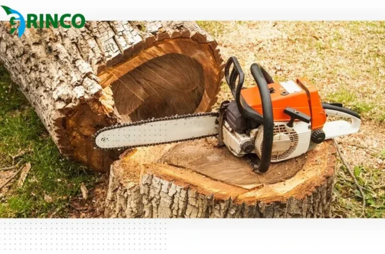 Expert Tree Pruning Melbourne Services for Healthy Growth and Beautiful Landscapes