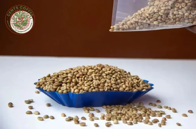 Unlock Rich Flavor with Arabica Coffee Dry Processed Beans for Specialty Roasting