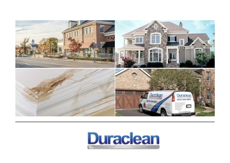 Professional Air Duct Cleaning Lovespark for a Healthier Home Environment