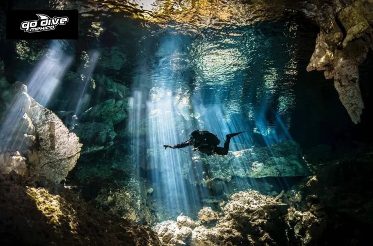 Explore the Thrilling World of Cavern Diving with Expert Guides