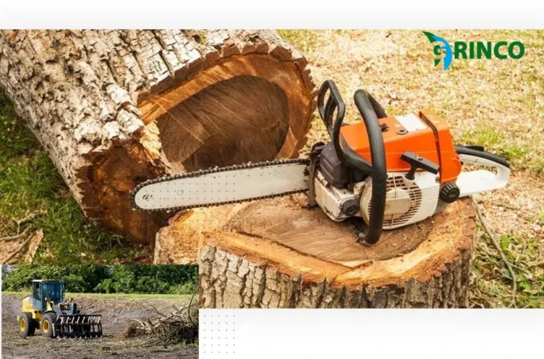 Reliable Emergency Tree Removal Melbourne Services for Fast and Safe Hazard Clearance