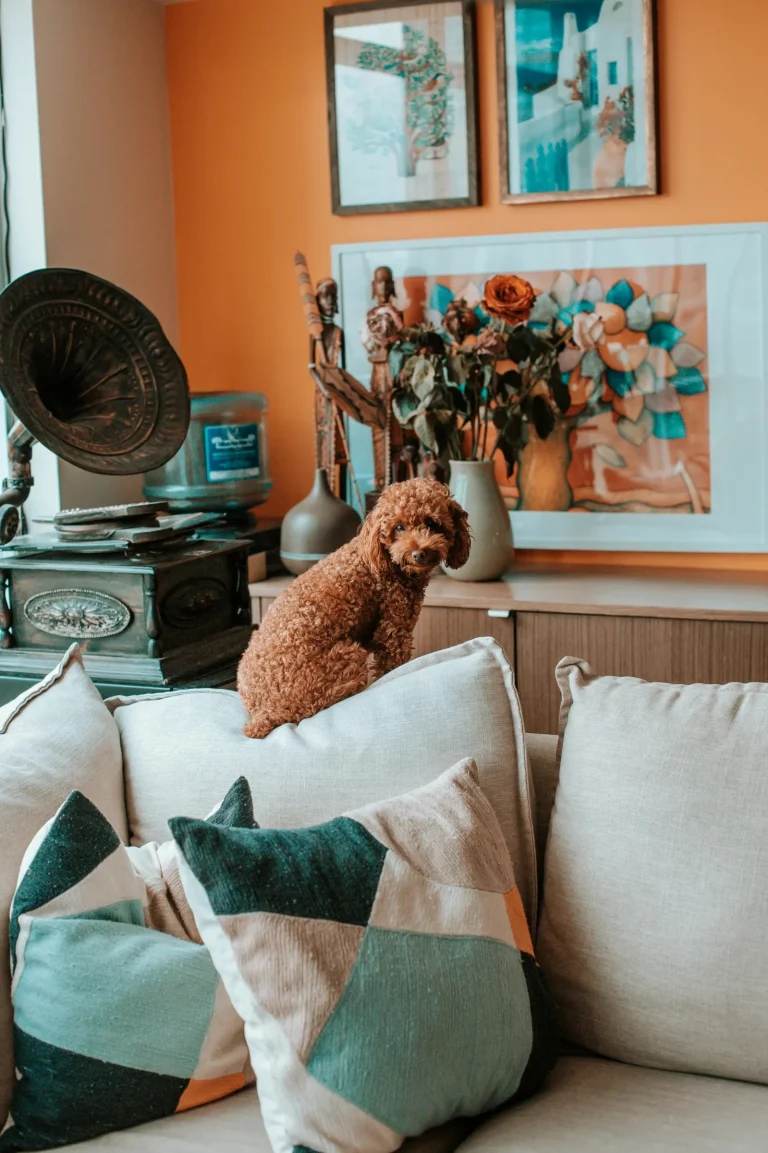 Yo Pet Guest Post Opportunities for Pet Enthusiasts and Bloggers Yo Pet Guest Post Opportunities for Pet Enthusiasts and Bloggers