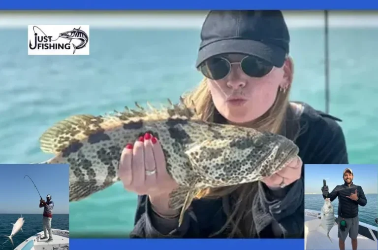 Premium Fishing Gear Online for Durable and High-Performance Angling Equipment