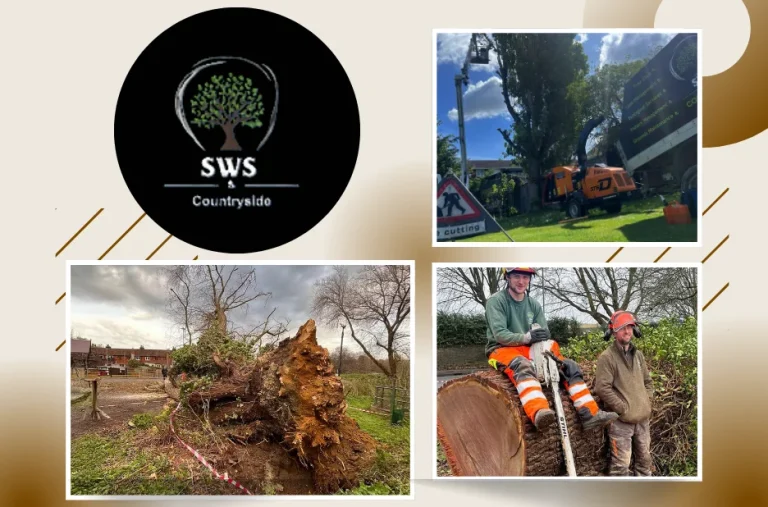 Professional Tree Removal Medway Services for Safe and Efficient Outdoor Maintenance