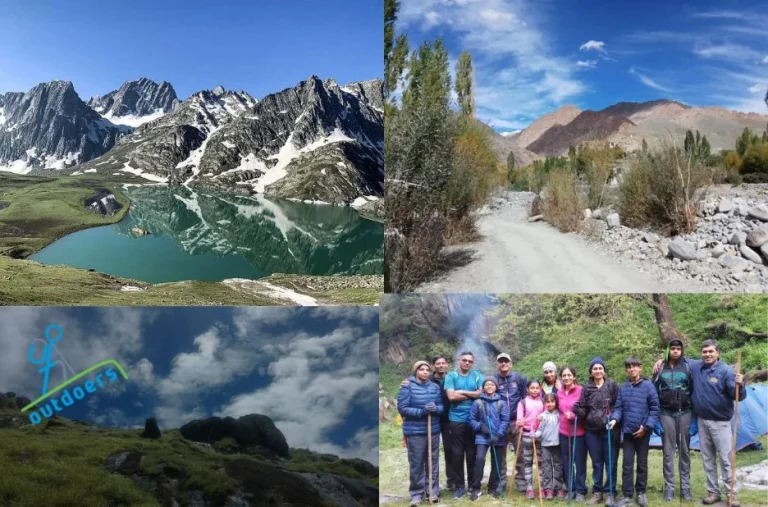 Discover Tranquil BInsar Walks Through Scenic Forest Trails and Hidden Viewpoints Discover Tranquil BInsar Walks Through Scenic Forest Trails and Hidden Viewpoints